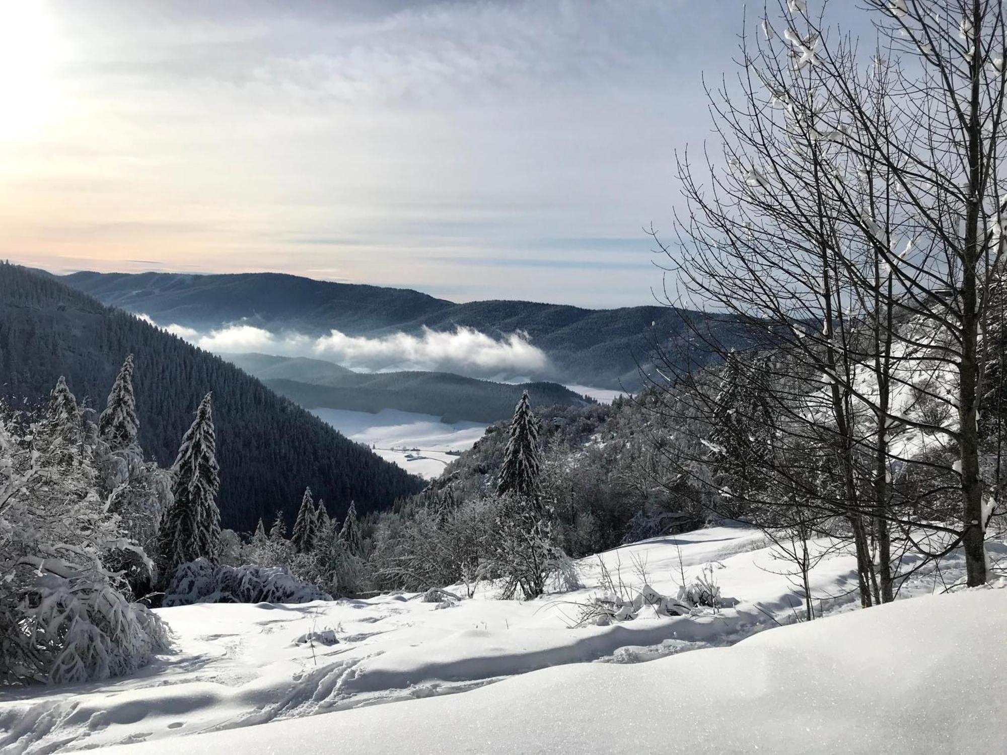 Ferme Des Deux Freres, Autrans, Vercors Exterior foto